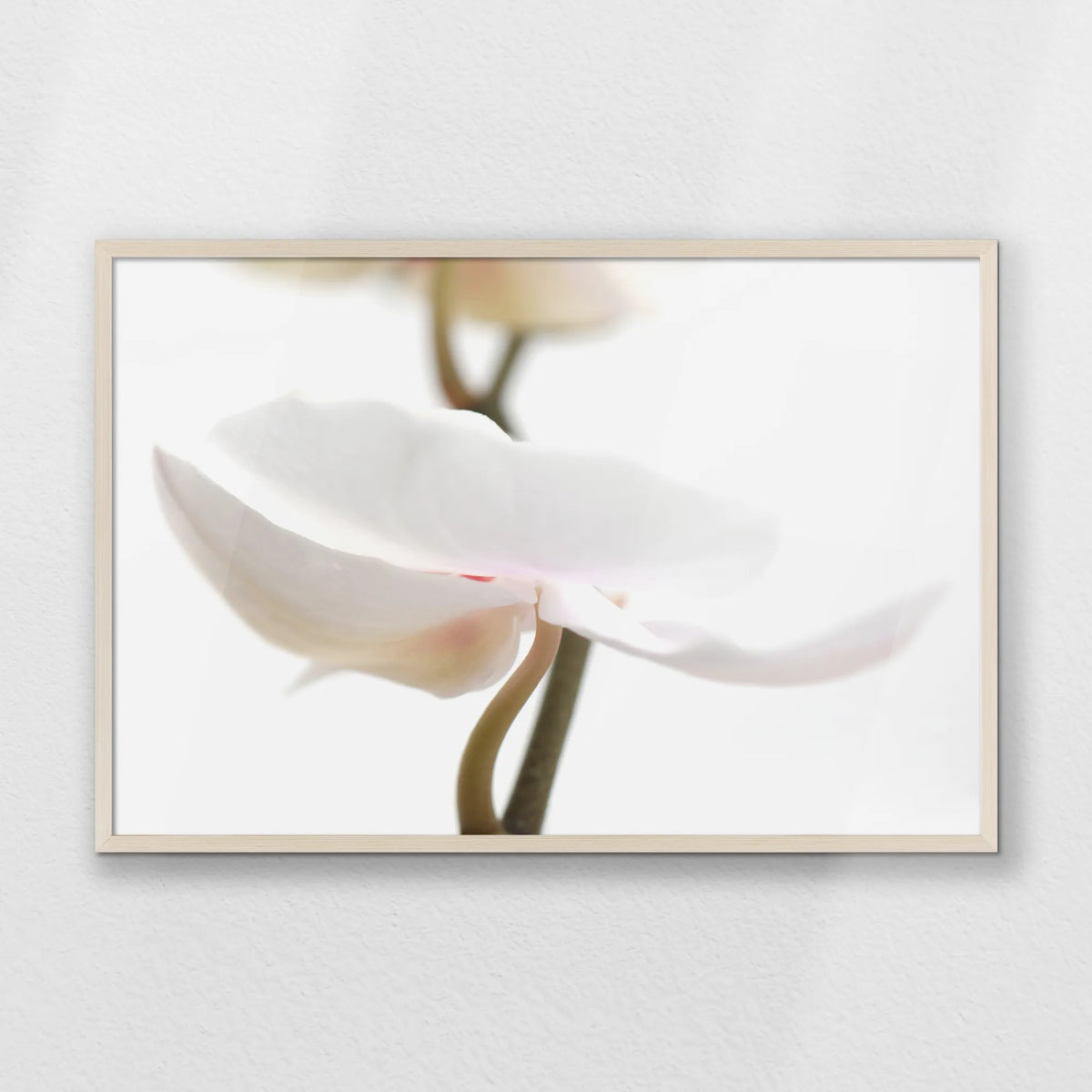 PN-093W062