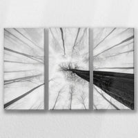 LW-060R040