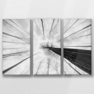 LW-060R040
