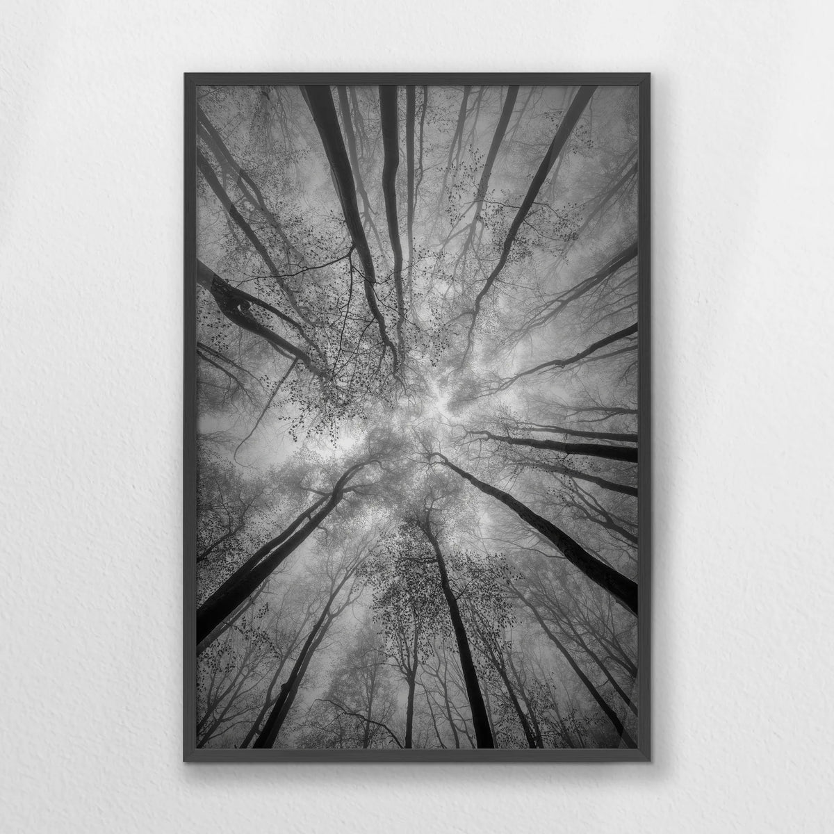 PK-062W093