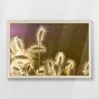 PN-060W040