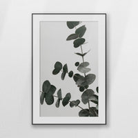 PBP080W120