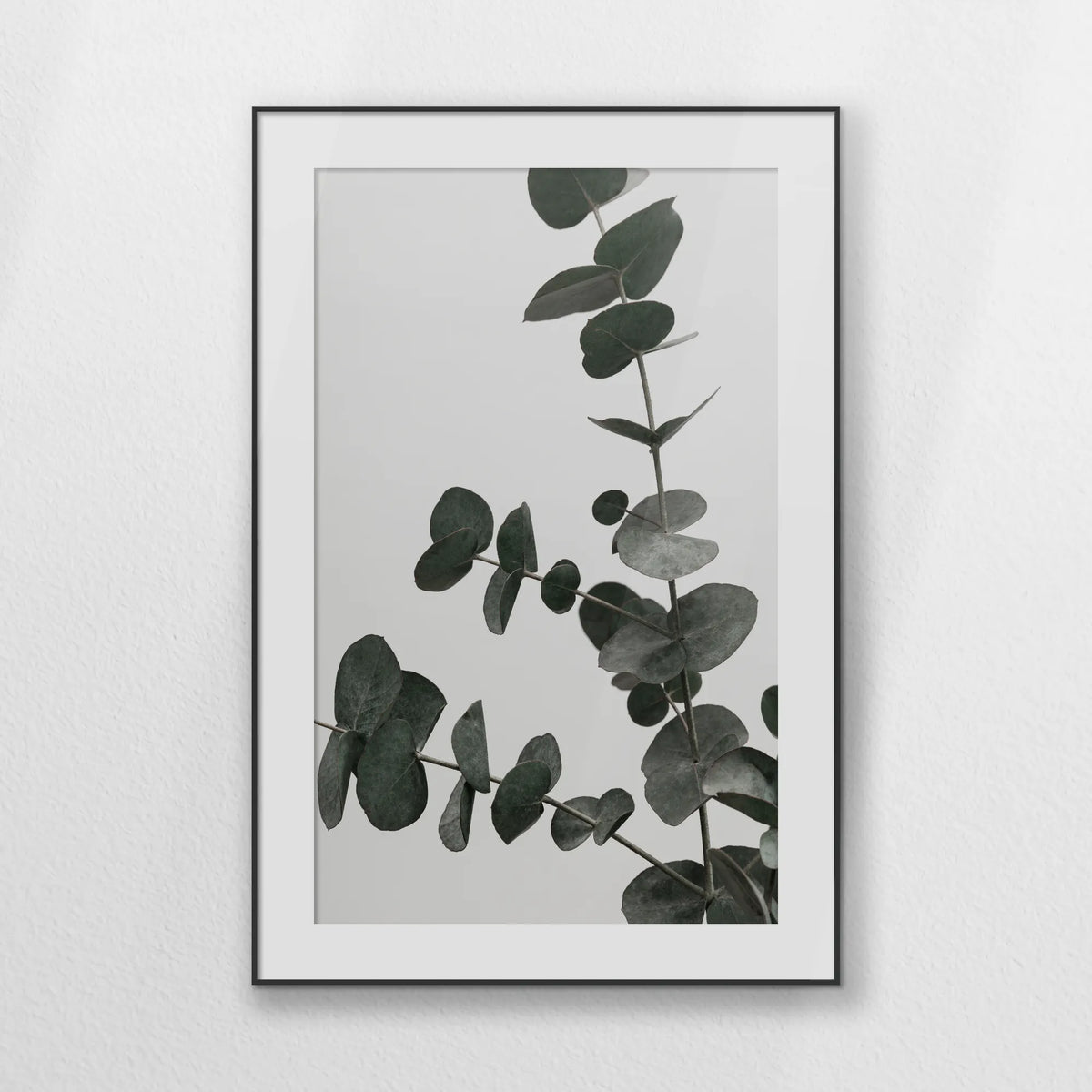 PBP080W120