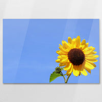 AC-075W050