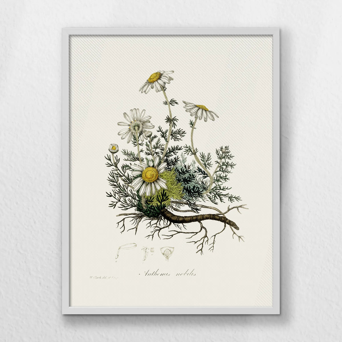 LWW060W080