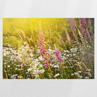PO-060W040