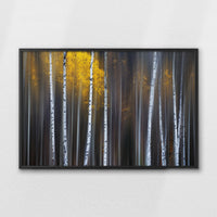 LWB100W070