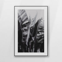 PBP080W120