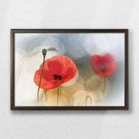 LWN060W040
