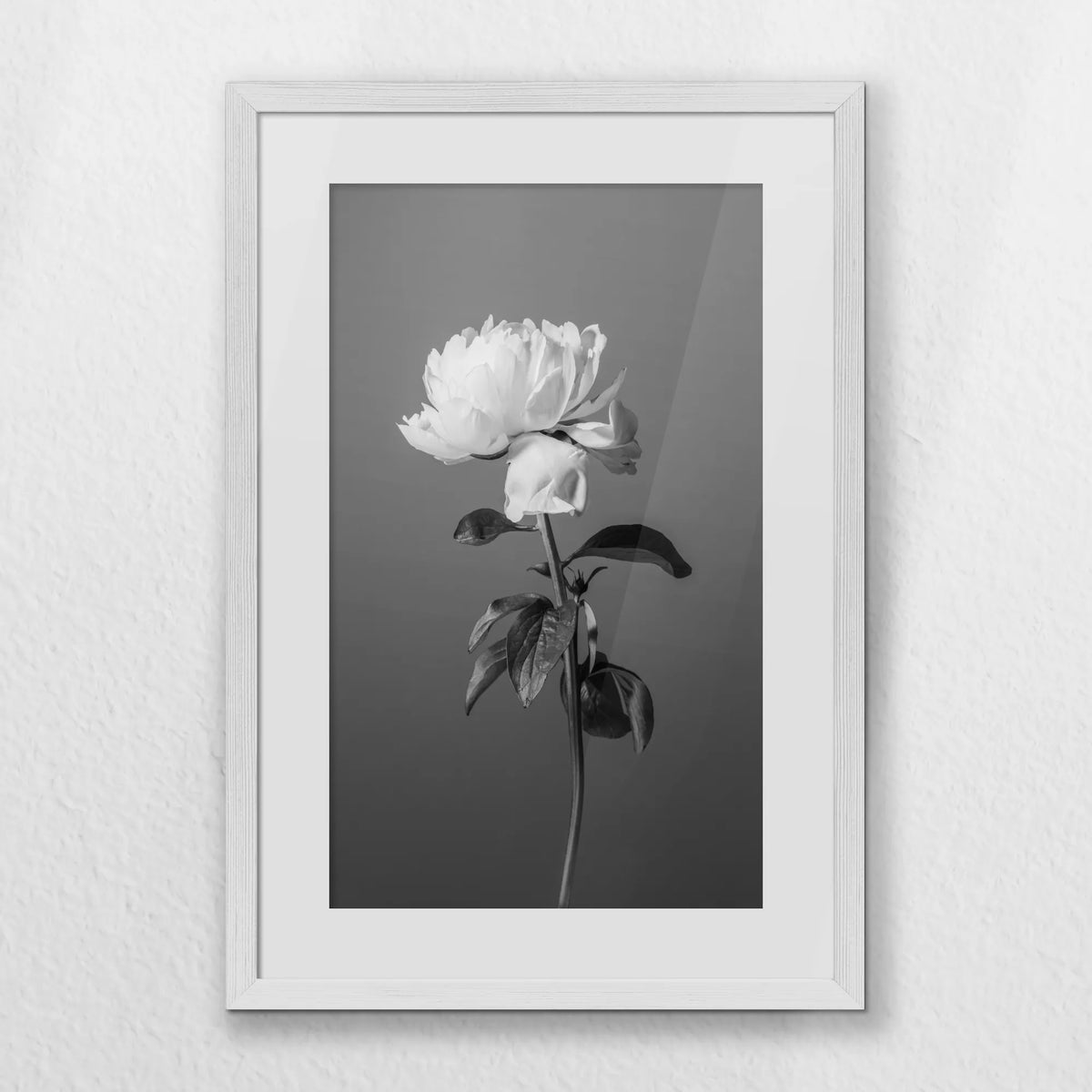 PWP040W060