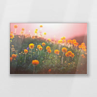 PS-120W080