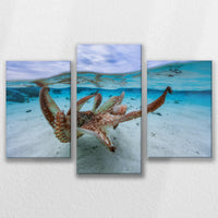 LW-090T060