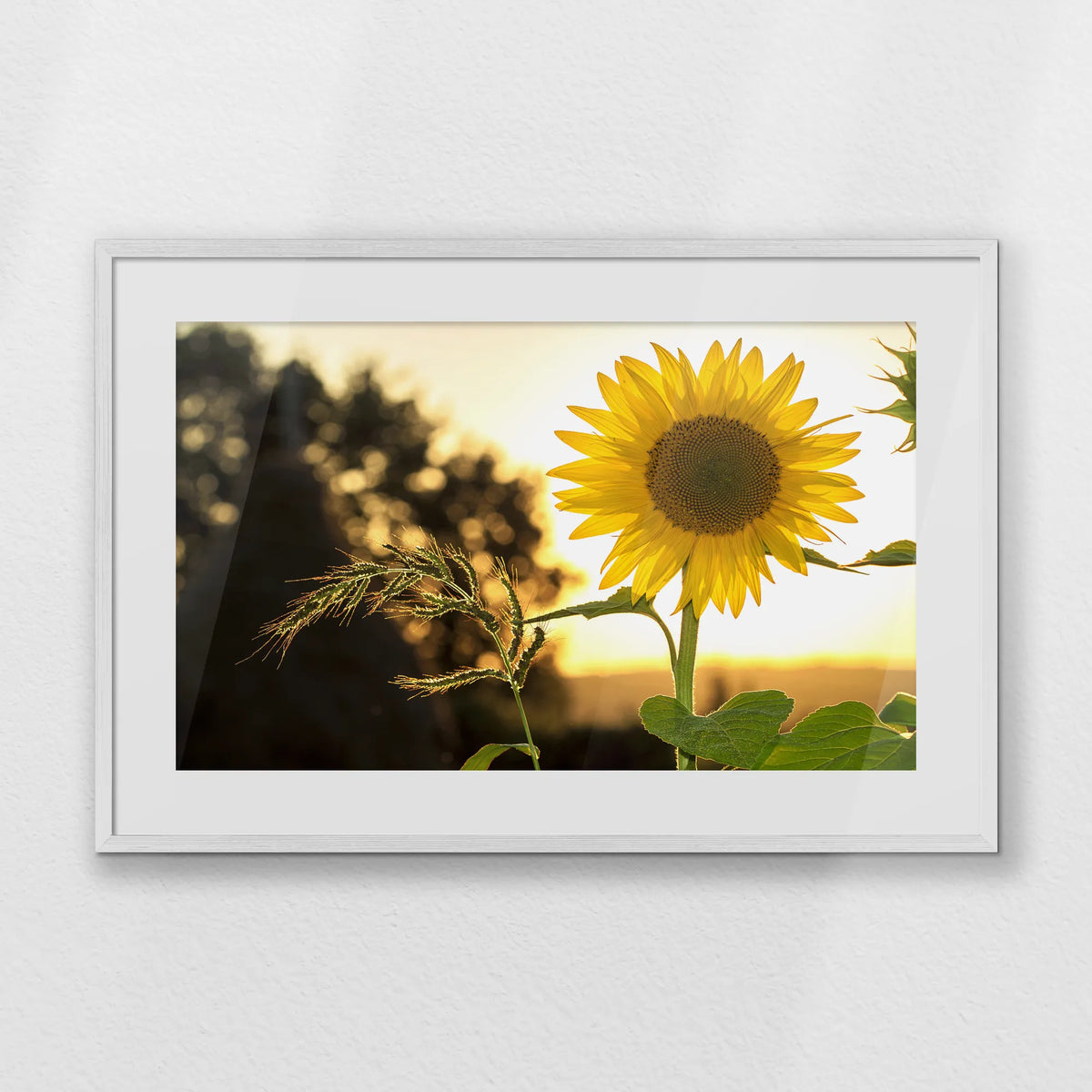 PWP093W062