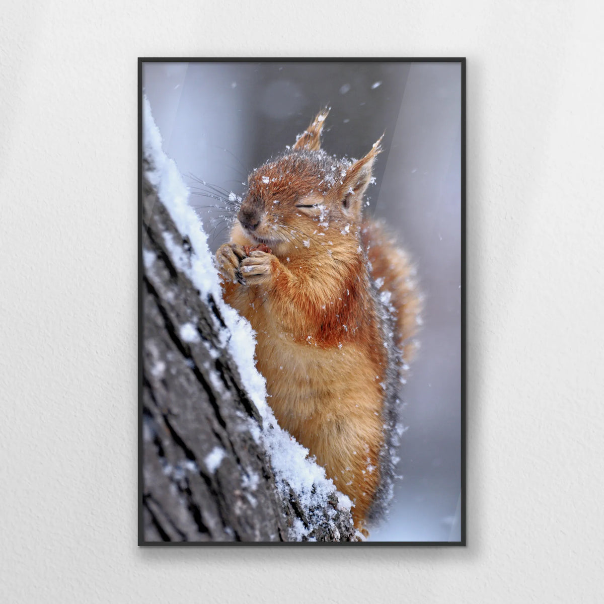PB-062W093