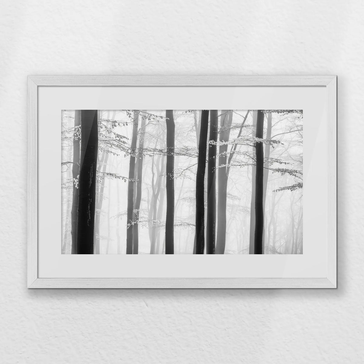 PWP060W040