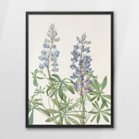 LWB060W080