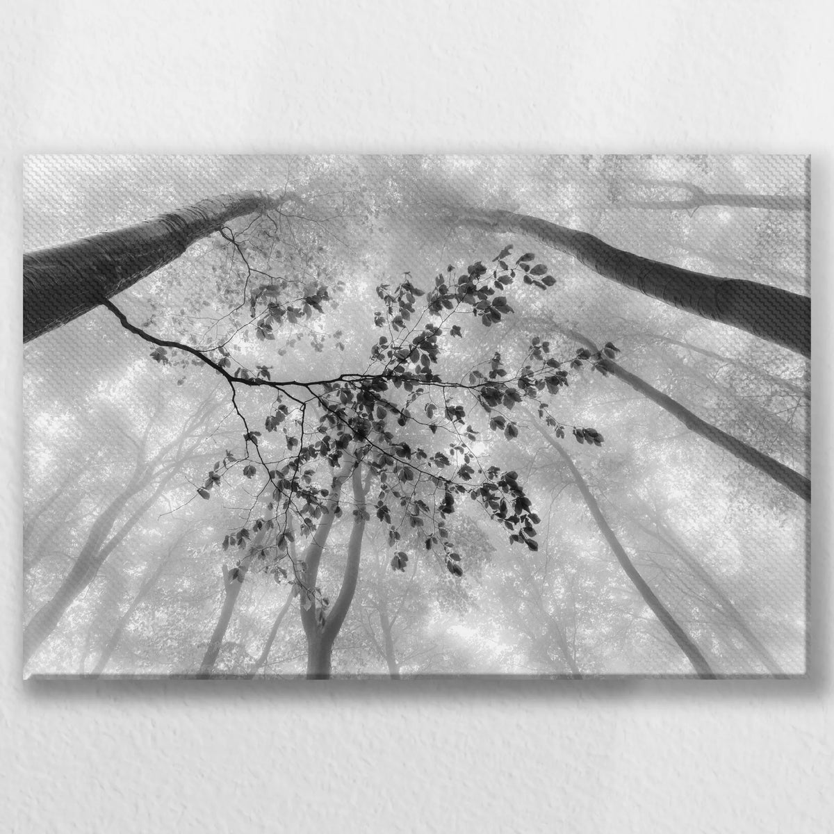 LW-030W020