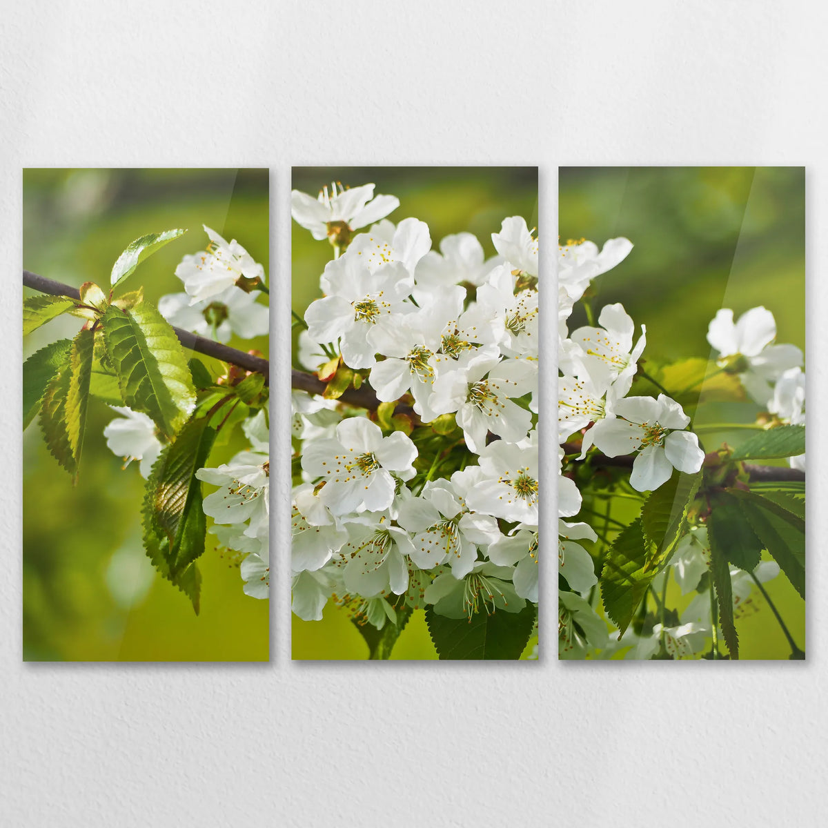 AC-150R100