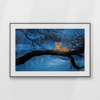 PBP120W080