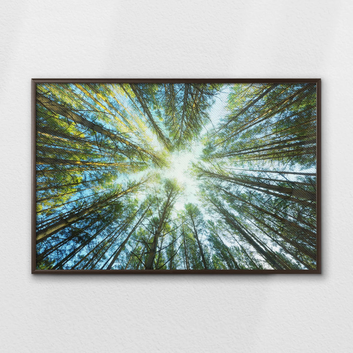 LWN100W070