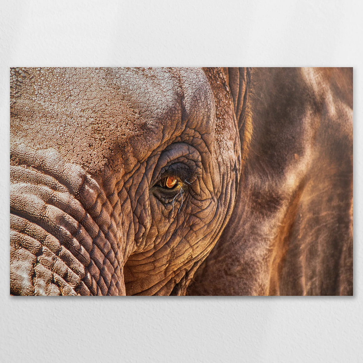 AL-120W080