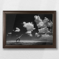 LWN030W020