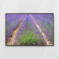 LWN120W080