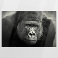 PO-075W050