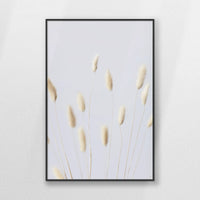PB-062W093