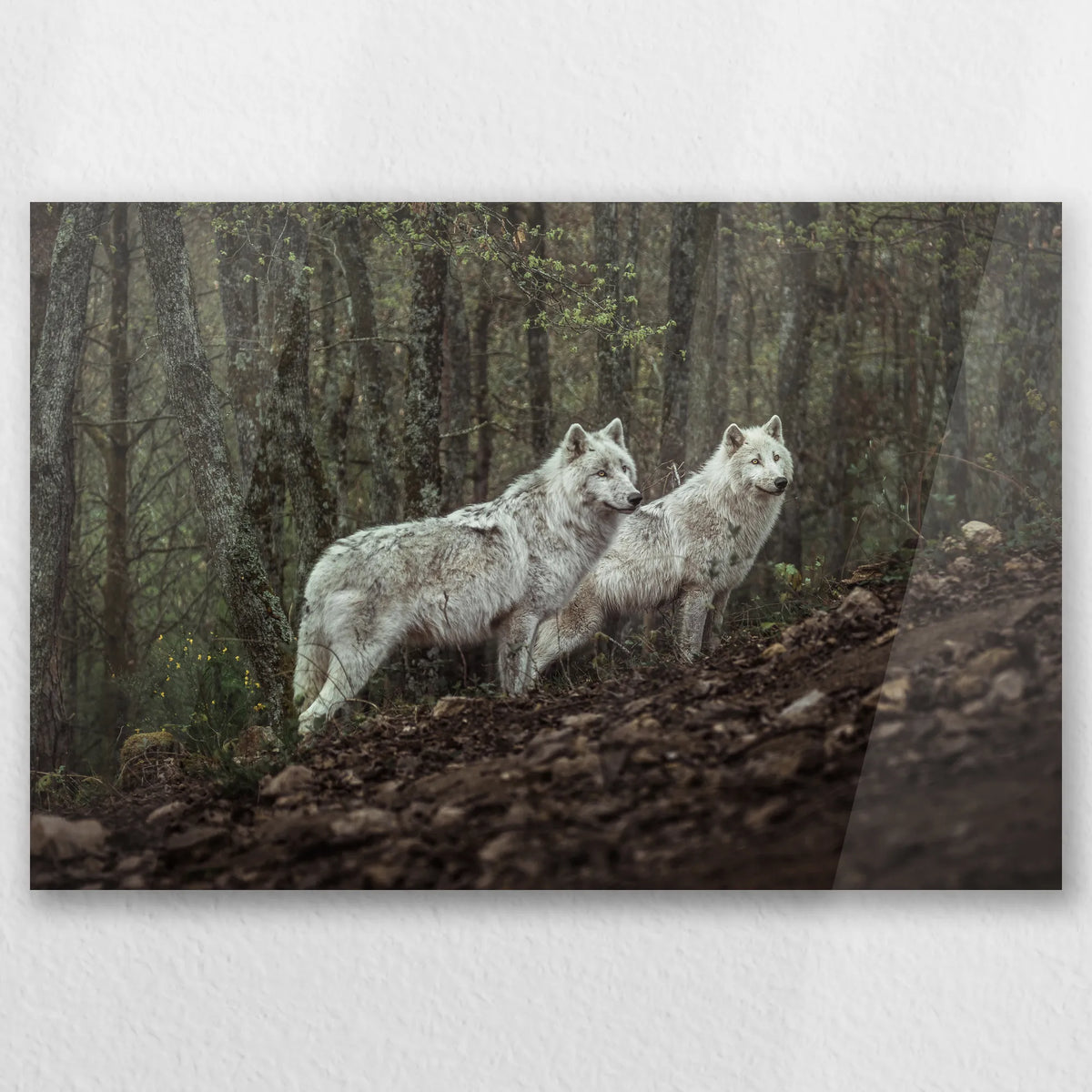AC-045W030