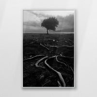 PS-062W093