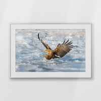 PSP100W070
