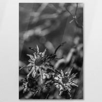 AC-060W090