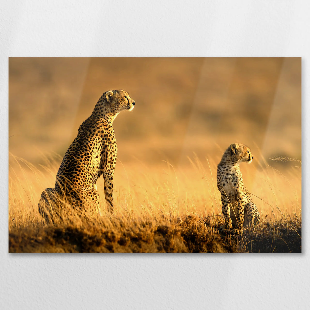 AL-075W050