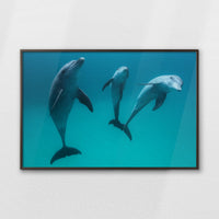 LWN120W080