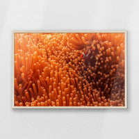 PN-093W062