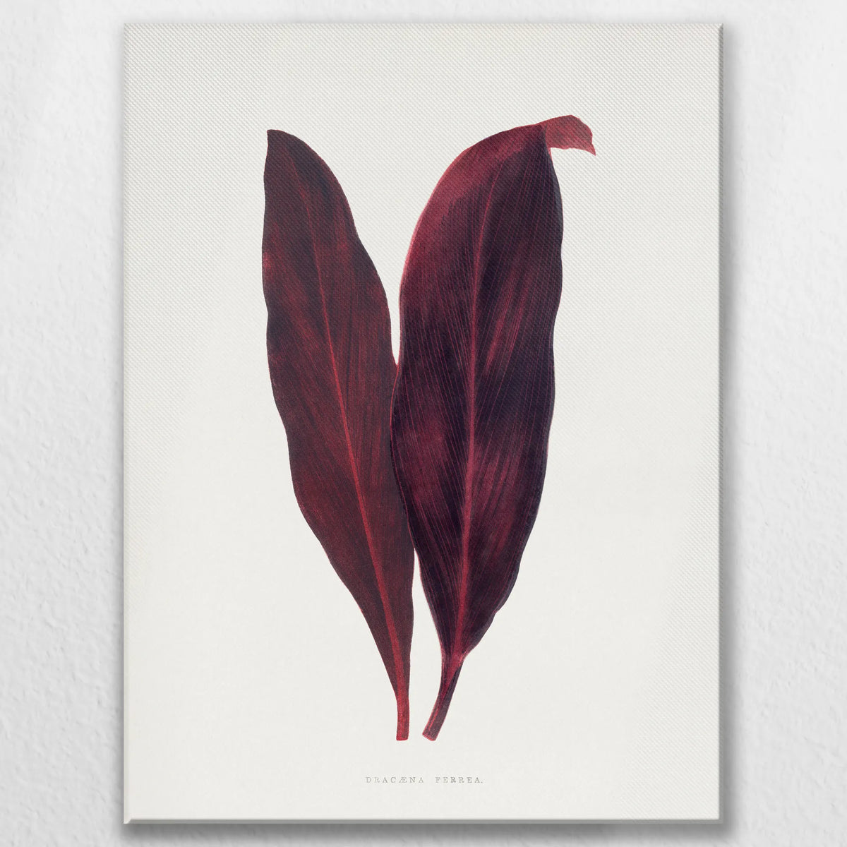 LW-075W100