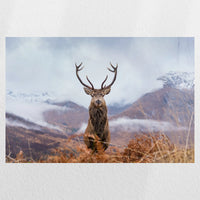 PO-060W040