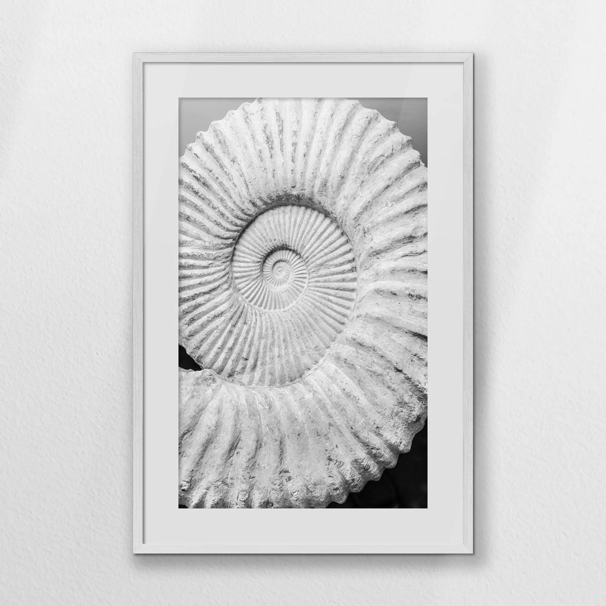 PWP062W093