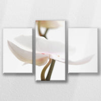 LW-060T040