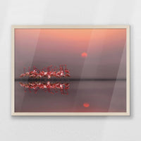 PN-070W050