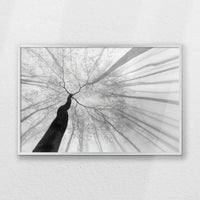 PS-060W040
