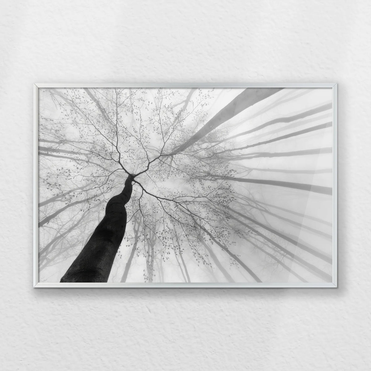 PS-060W040