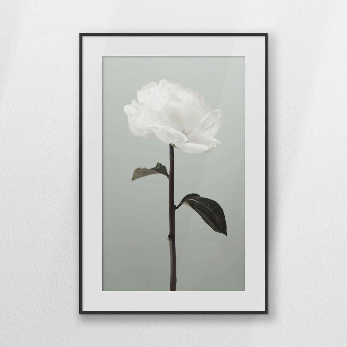 PBP062W093