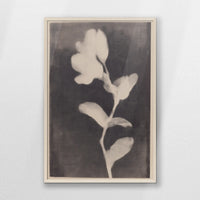 PN-062W093