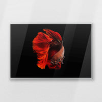 PS-100W070