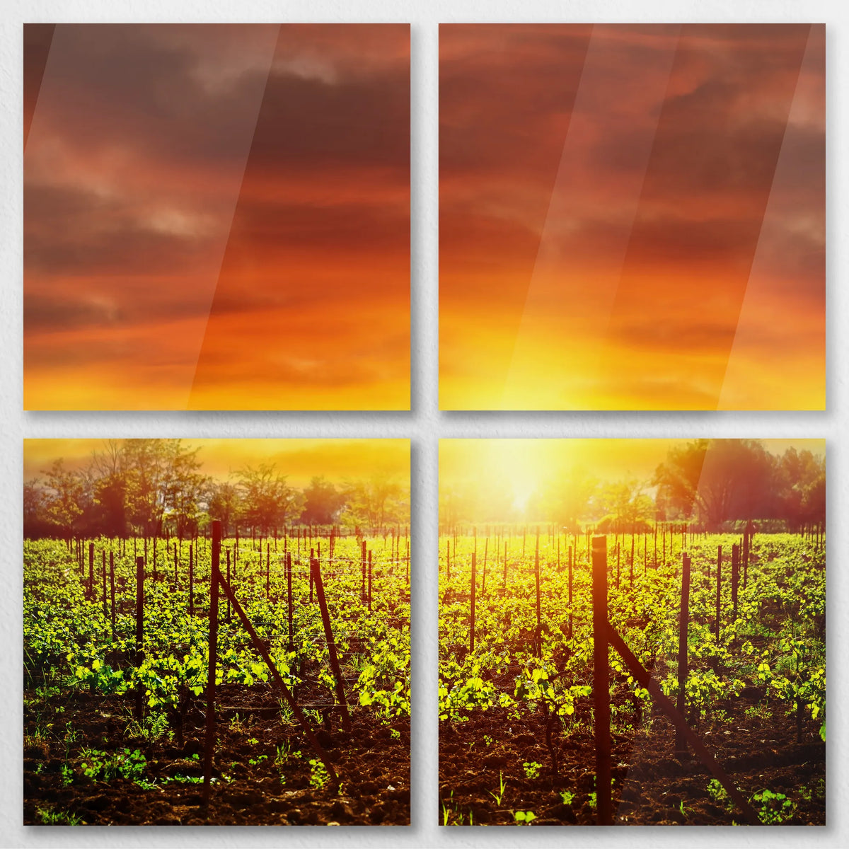 AC-100V100