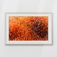 PNP100W070