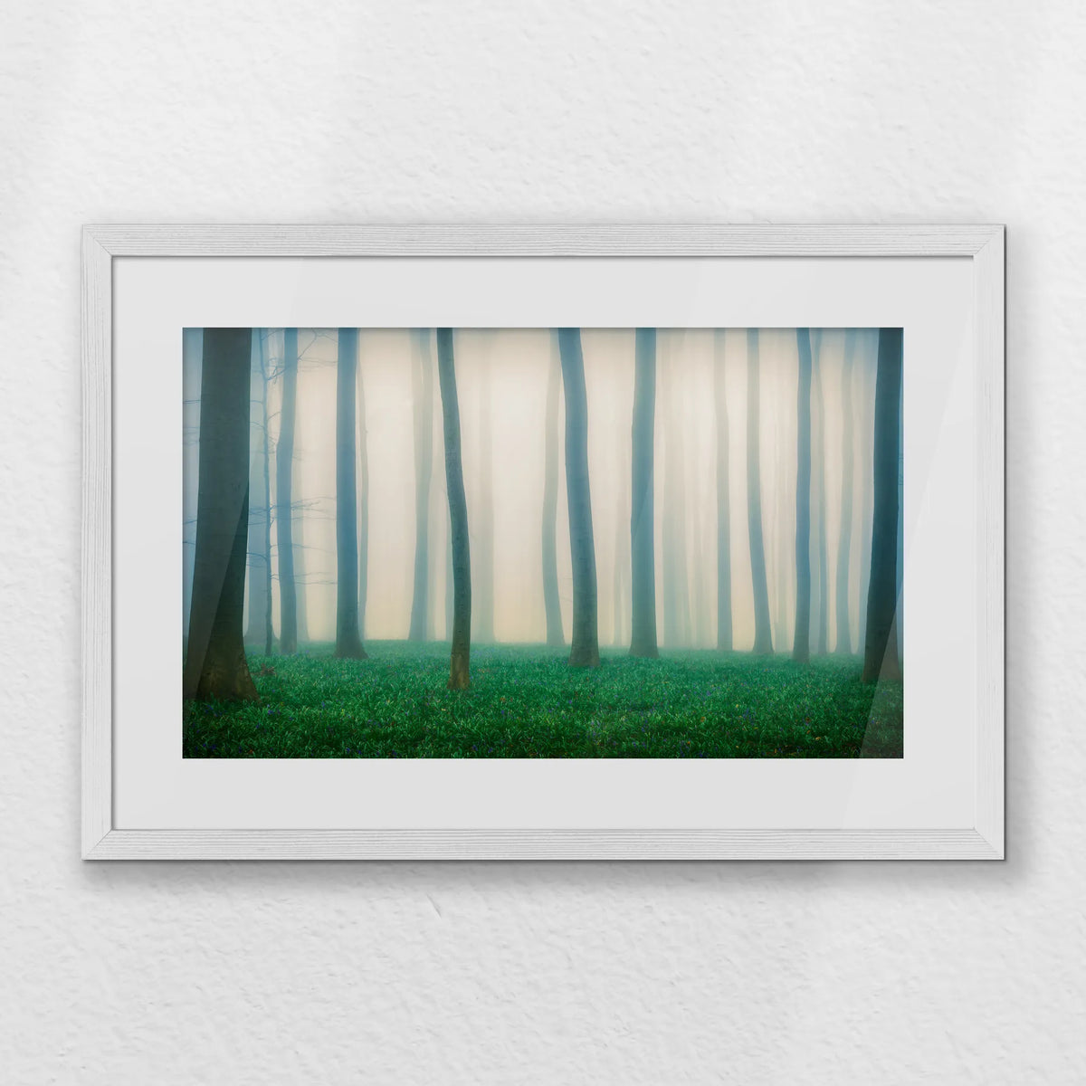 PWP060W040