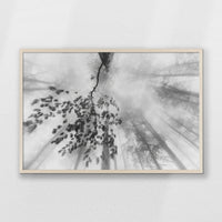 PN-093W062